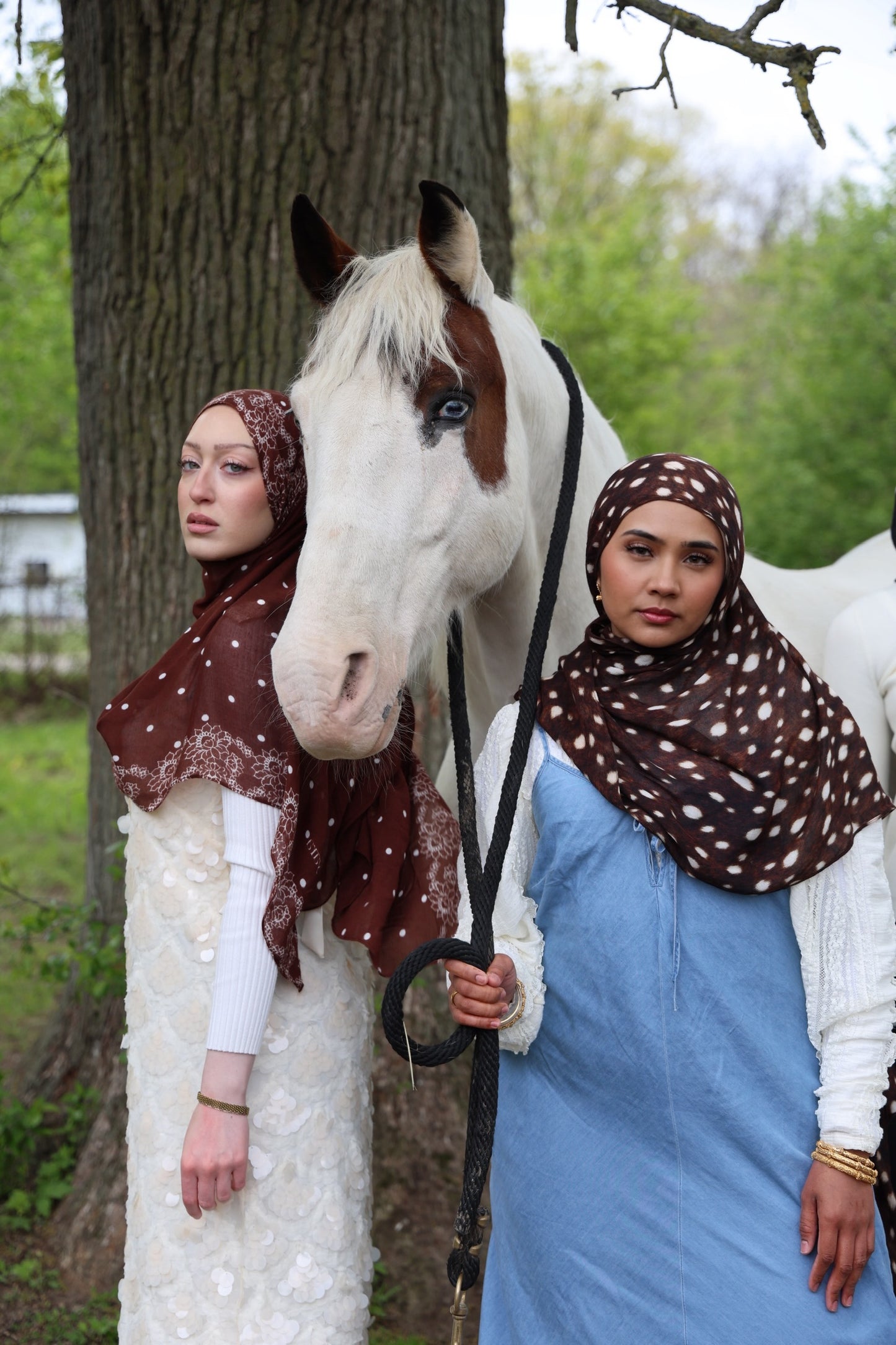 Coco Fawn Modal Hijab