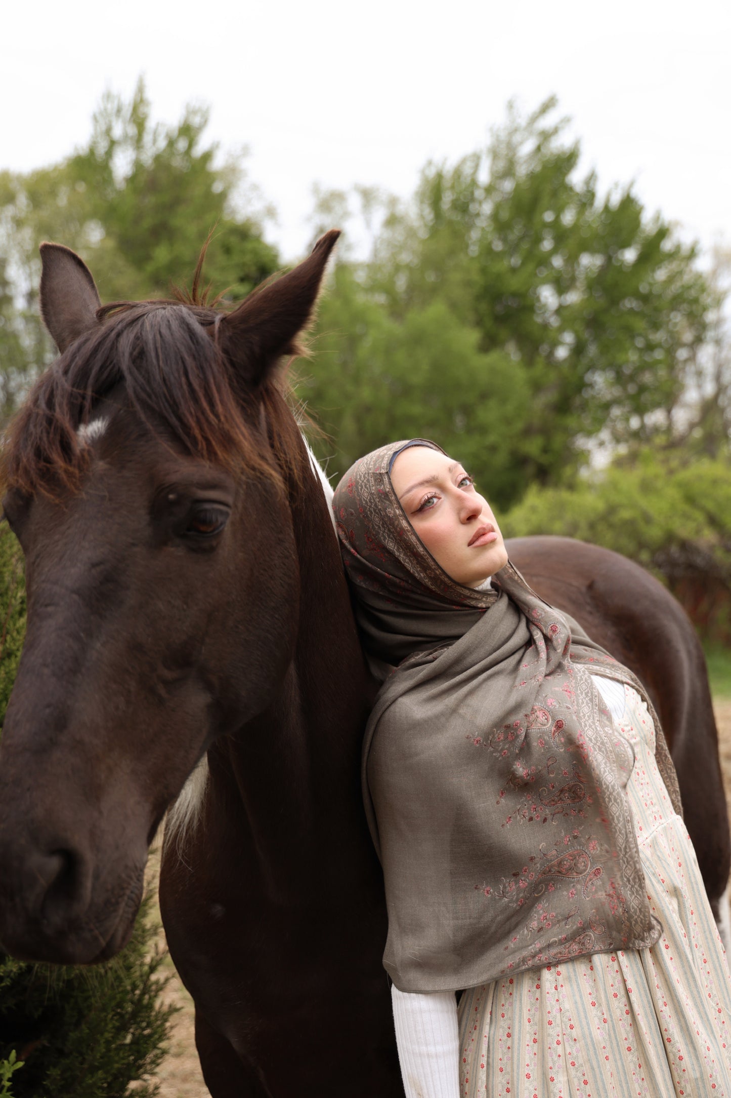 Olive Groves Modal Hijab